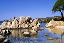 巴西对阵法国，谁才是足球赛场的终极王者？